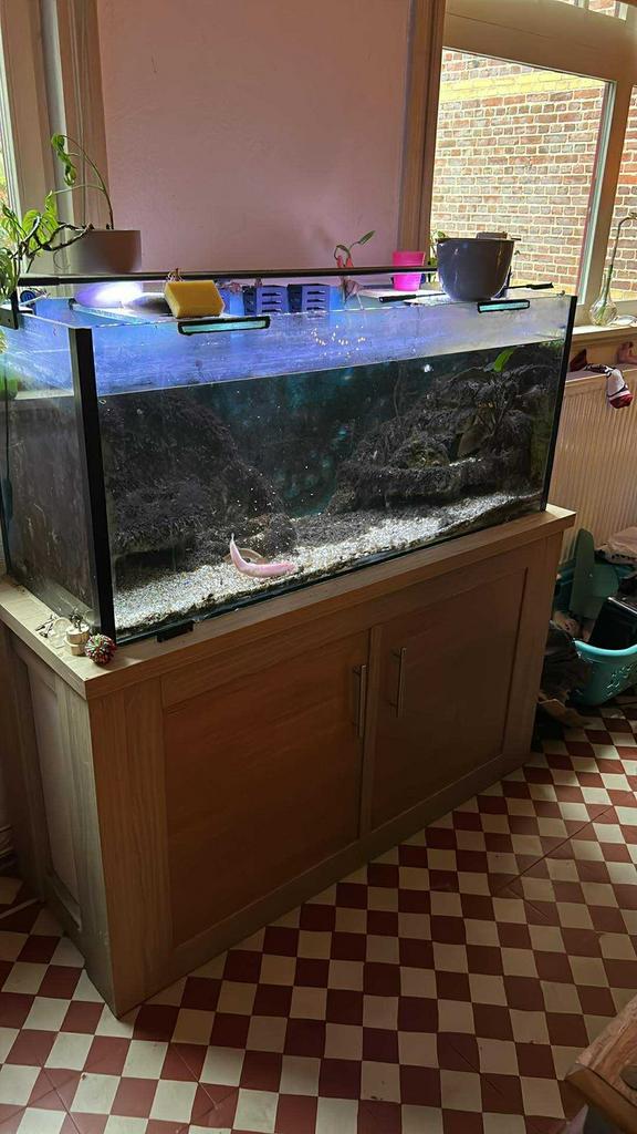 Aquarium, Dieren en Toebehoren, Vissen | Aquaria en Toebehoren, Gebruikt, Gevuld zoetwateraquarium, Ophalen