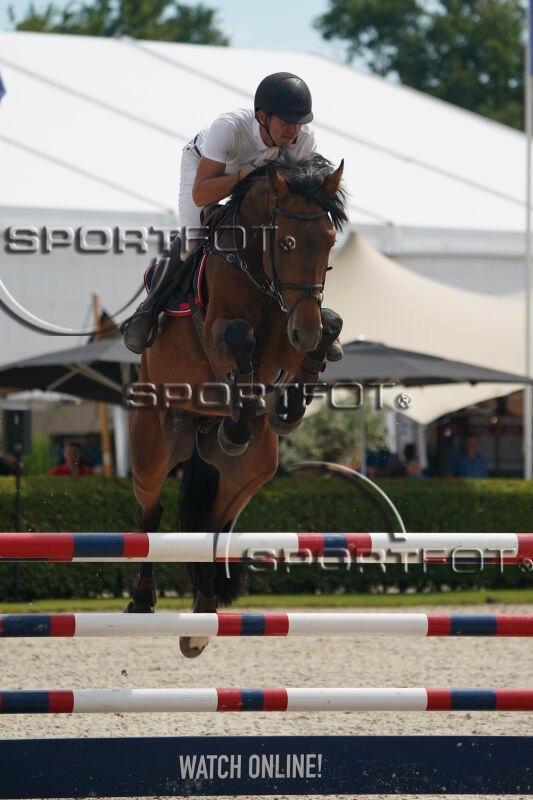 Ruiter voor dressuurmatig rijden van 6 à 7 springpaarden, Animaux & Accessoires, Chevaux, Plusieurs animaux, Z, Cheval de saut