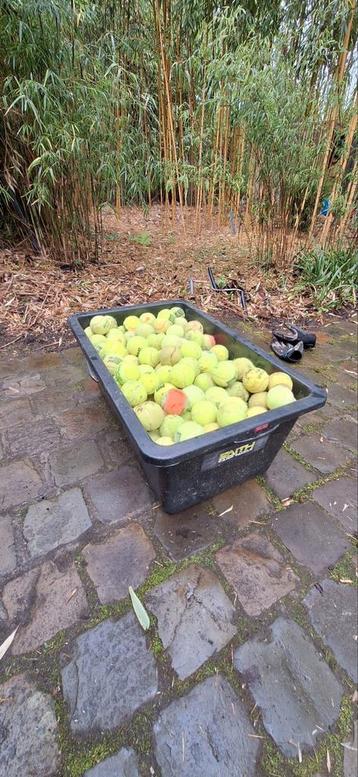 Padel en tennis ballen (370 stuks) beschikbaar voor biedingen