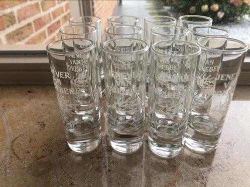 12 mooie nieuwe geneverglaasjes, Verzamelen, Glas en Drinkglazen, Nieuw, Ophalen