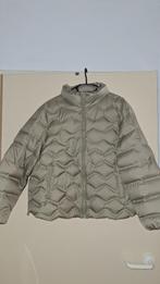 ECHTE DONSJAS Esprit maat L (=  maat 44), Kleding | Dames, Jassen | Winter, Beige, Maat 42/44 (L), Ophalen of Verzenden, Zo goed als nieuw