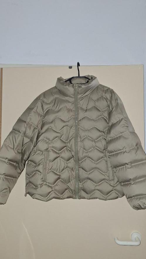 ECHTE DONSJAS Esprit maat L (=  maat 44), Kleding | Dames, Jassen | Winter, Zo goed als nieuw, Maat 42/44 (L), Beige, Ophalen of Verzenden