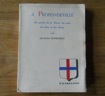 A Profondeville (Jacques Mombaerts) - Meuse disponible aux enchères