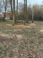 Bois à louer Bruxelles Sud 5.500m2 en bord de route, Immo, Gronden en Bouwgronden, Bruxelles, 1500 m² of meer