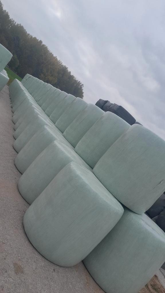 Mais mks stro bieten, Dieren en Toebehoren, Dierenvoeding, Ophalen