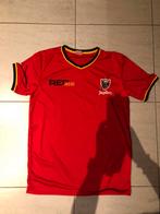 Collector’s item voetbalshirt Rode Duivels L Red inside, Comme neuf, Enlèvement ou Envoi