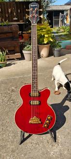 Epiphone Allen Woody Rumblecat bas, Muziek en Instrumenten, Ophalen, Gebruikt, Elektrisch