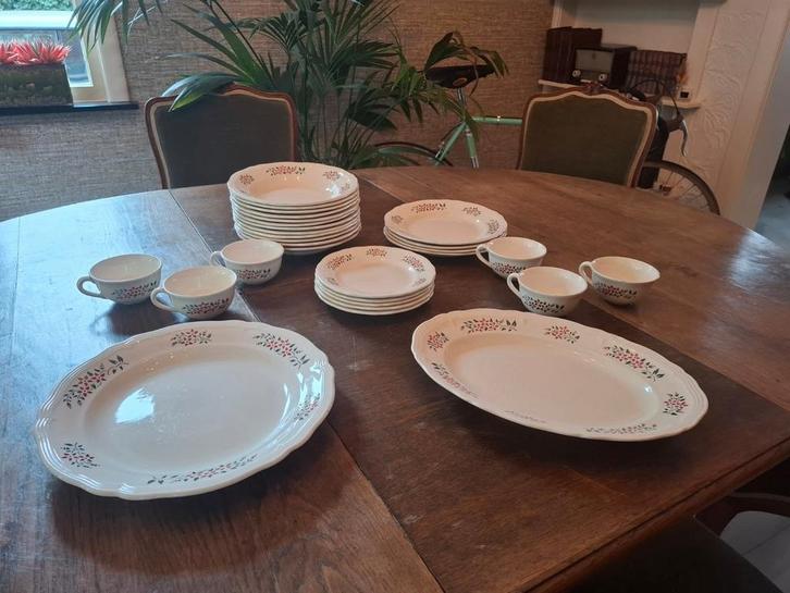 Prachtig vintage servies 'Asro', Antiek en Kunst, Antiek | Servies compleet, Ophalen of Verzenden