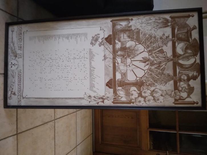 Ingekaderde vintage poster - kruiden uit de volksgeneeskunde, Verzamelen, Posters, Rechthoekig Staand, Ophalen