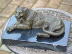 léopard coucher en bronze signé sur marbre ., Antiquités & Art, Bronze, Enlèvement ou Envoi