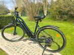 Superieure elektrische fiets voor alle wegen, merk Riverside, Ophalen