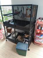 Groot hok fret of chinchilla, Ophalen, Hok, Fret