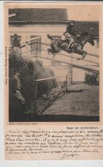 Ieper, Paardensort, Verzenden