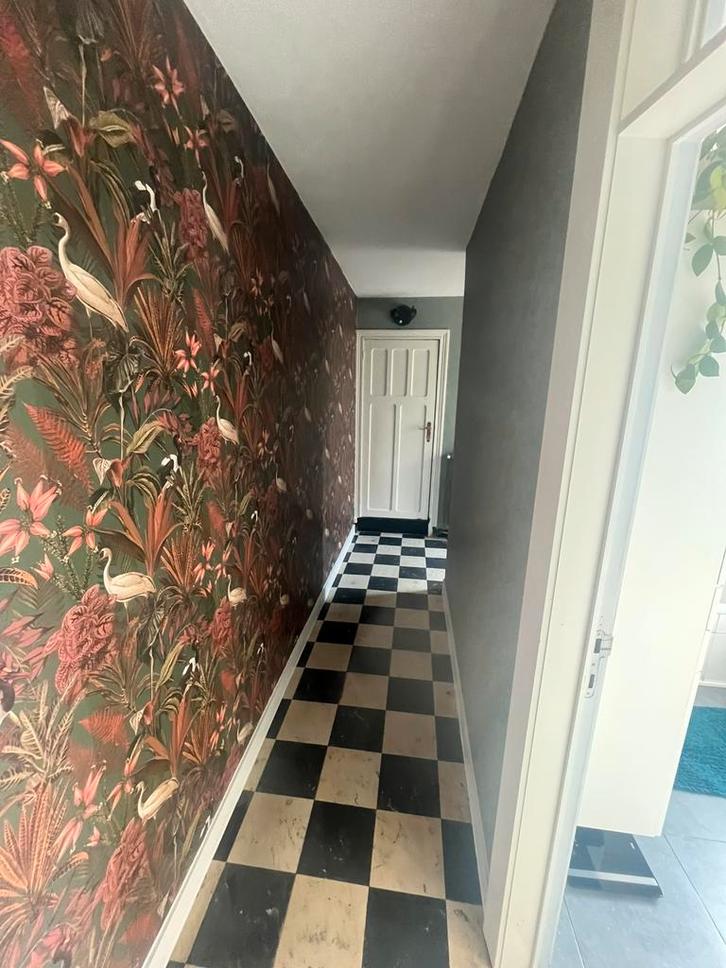 1kamer appartement, Immo, Appartements & Studios à louer, Province de Flandre-Occidentale, 50 m² ou plus