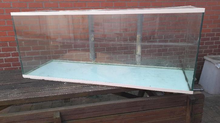 grand aquarium, Animaux & Accessoires, Poissons | Aquariums & Accessoires, Utilisé, Aquarium vide, Enlèvement