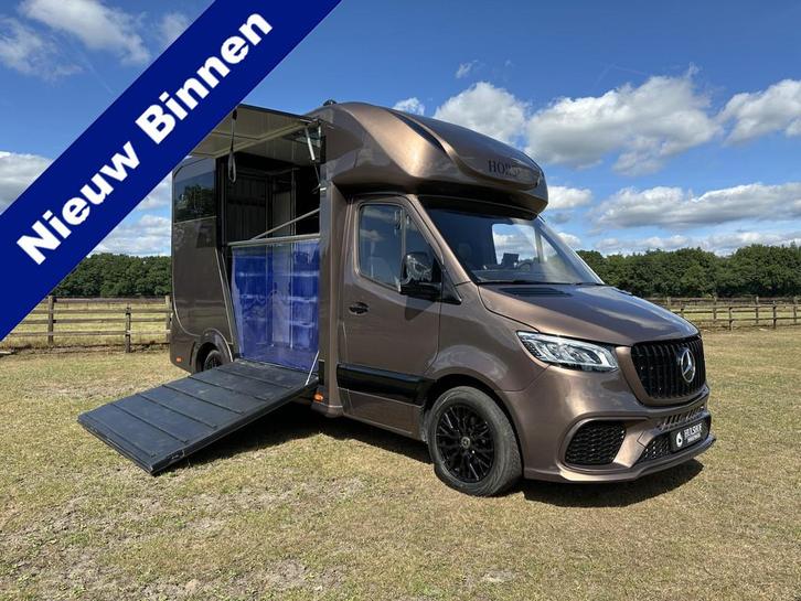 Mercedes-Benz Sprinter 319 AMG 2-paards paardenvrachtwagen B, Dieren en Toebehoren, Paarden en Pony's | Trailers en Aanhangwagens
