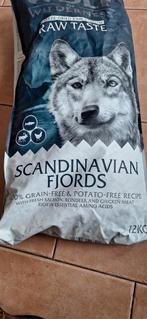 Croquettes chien Wolf of willderness 9k, Enlèvement, Chien