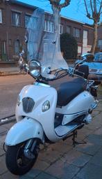 Trottinette Borselino 125 cc, Autres modèles, 125 cm³, Enlèvement, Utilisé