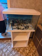Bel aquarium blanc comme neuf avec meuble, Enlèvement, Comme neuf, Aquarium vide