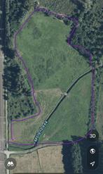 Te koop weide, Dieren en Toebehoren, Weidegang