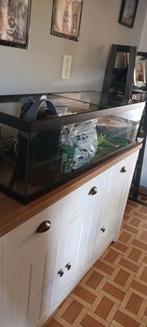 Aquarium voor waterschildpadden, Ophalen