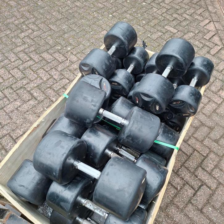 Lifemaxx Dumbells Set  12 kilo tot 48 kilo, Sport en Fitness, Fitnessmaterialen, Ophalen
