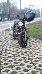 DAX PAPIEREN GEZOCHT A1, Ophalen