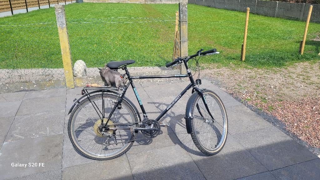 Pegeot fiets, Fietsen en Brommers, Ophalen