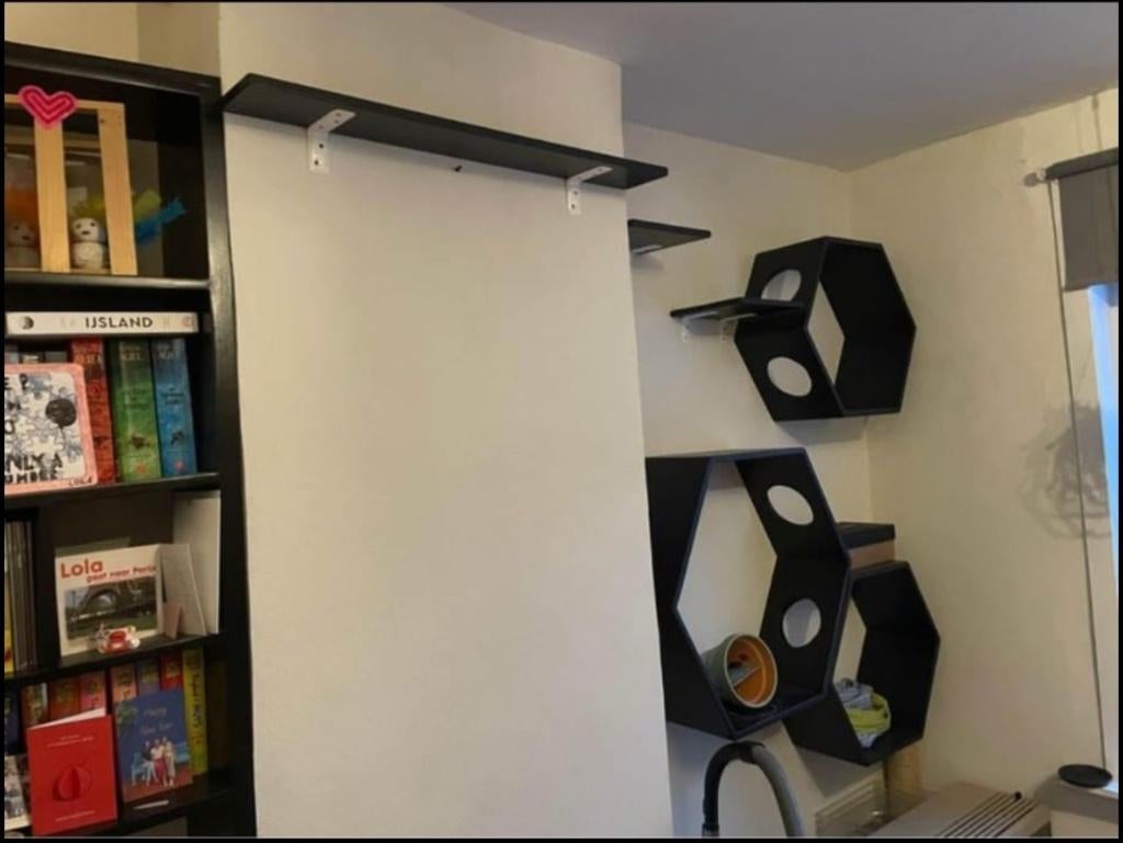 Kattenwand, Animaux & Accessoires, Jouets pour chats, Enlèvement, Comme neuf