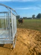 Hooiruif, Dieren en Toebehoren