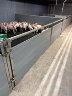 Hokinrichting voor biggen [242], Dieren en Toebehoren, Stalling en Weidegang