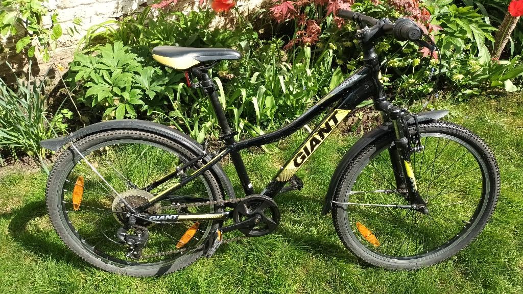 Vélo Giant 24", Enlèvement, Utilisé, 20 pouces ou plus, Giant