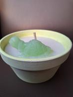 Bougie Tortue, Enlèvement ou Envoi, Bougie