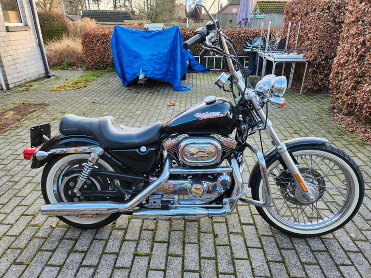 Sporster, Motos, Motos | Harley-Davidson, Particulier, Chopper, Enlèvement