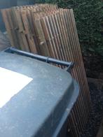 duiven, Dieren en Toebehoren, Vogels | Duiven