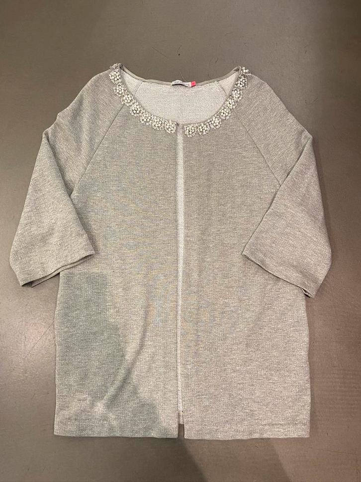 Gilet Dexters gris argenté taille S/M - très bon état., Vêtements | Femmes, Pulls & Gilets, Comme neuf, Taille 36 (S), Gris, Enlèvement ou Envoi