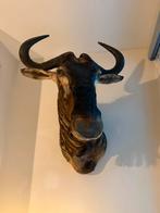 Opgezet hoofdstuk blauwe Gnoe, Ophalen