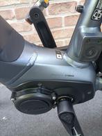 Elektrische fiets Merk Giant Dailytour, Fietsen en Brommers, Ophalen, Giant, Zo goed als nieuw, 47 tot 51 cm