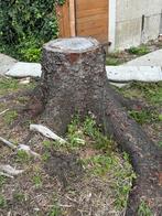 Bomen, Tuin en Terras, Brandhout, Minder dan 3 m³, Ophalen, Overige houtsoorten, Stammen