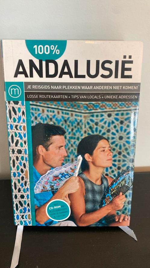F. Witte - 100% Andalusië, Boeken, Reisgidsen, Zo goed als nieuw, Ophalen