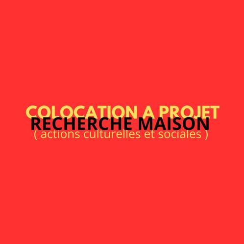 Colocation Culturelle et Sociale, Immo, Appartementen en Studio's te huur, Brussel