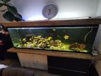 Aquarium 700L, Dieren en Toebehoren, Ophalen, Gebruikt, Gevuld zoetwateraquarium