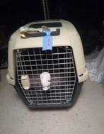 Cage pour chien, Enlèvement, Utilisé