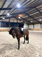 Sportpony te koop, Enlèvement, Comme neuf