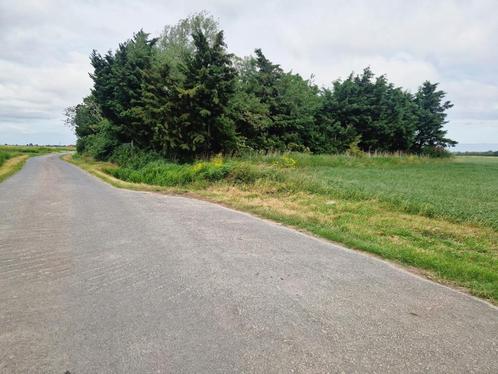 BOSJE te 8670 OOSTDUINKERKE T.K., Immo, Gronden en Bouwgronden, 1500 m² of meer, Verkoop zonder makelaar