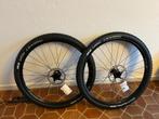 Roue VTT  DT Swiss + pneus + disques, Fietsen en Brommers, Fietsonderdelen, Nieuw, Mountainbike, DT SWISS, Ophalen