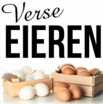 eiren vers  beschikbaar voor biedingen