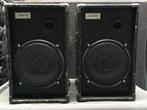 Speakerkasten Spectral type C12/2 Beyma, Ophalen, Gebruikt