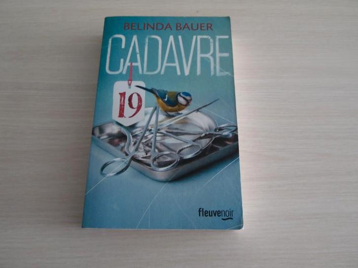 CADAVRE 19       BELINDA BAUER, Livres, Policiers, Comme neuf, Enlèvement ou Envoi