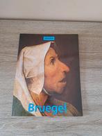 Boek bruegel, Ophalen of Verzenden